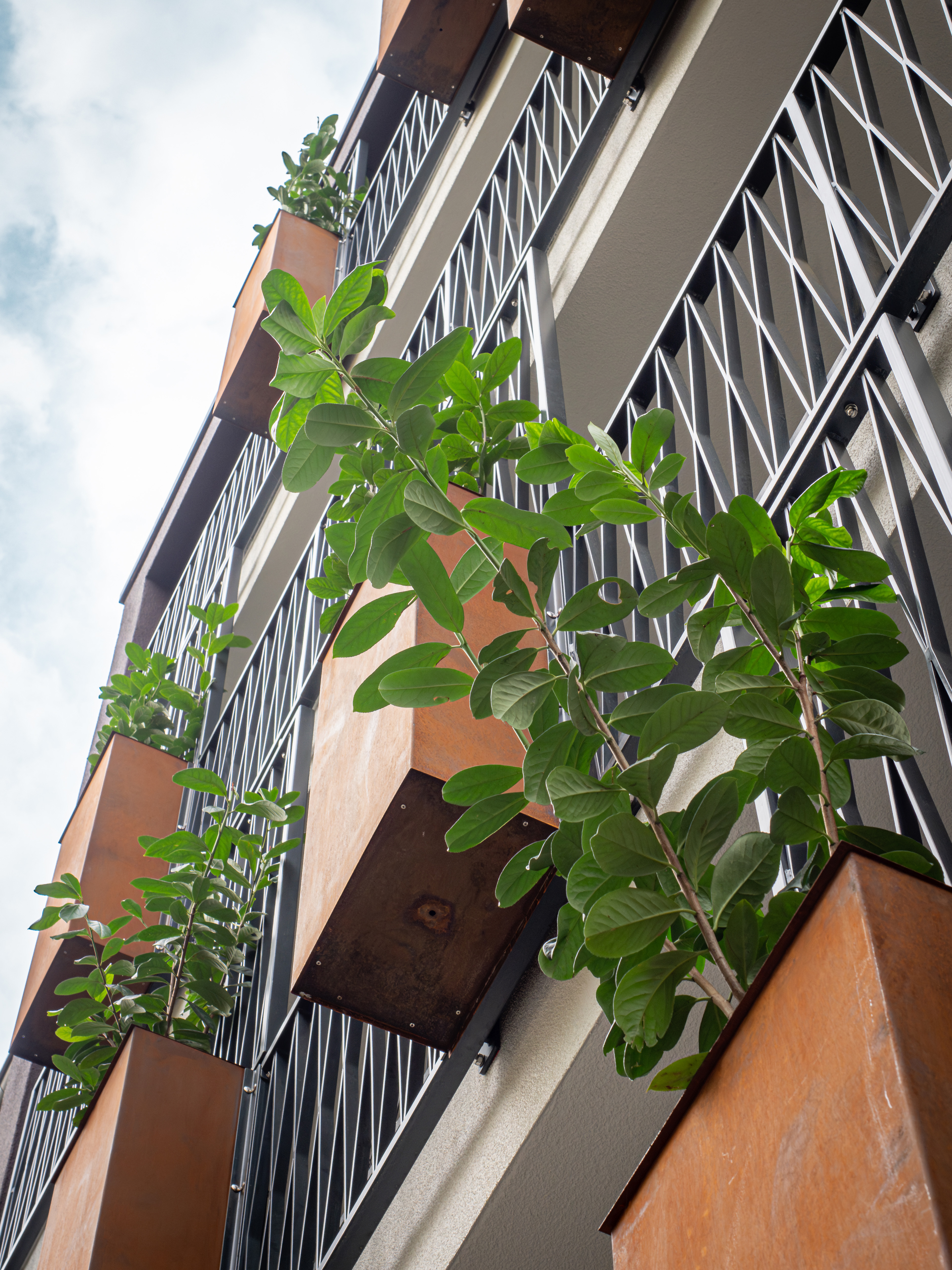 Die Pflanzenkübel aus Cortenstahl sowie Rankhilfen und Absturzsicherungen aus Gusseisen - Neubau eines Mehrfamilienhauses in Siegburg.