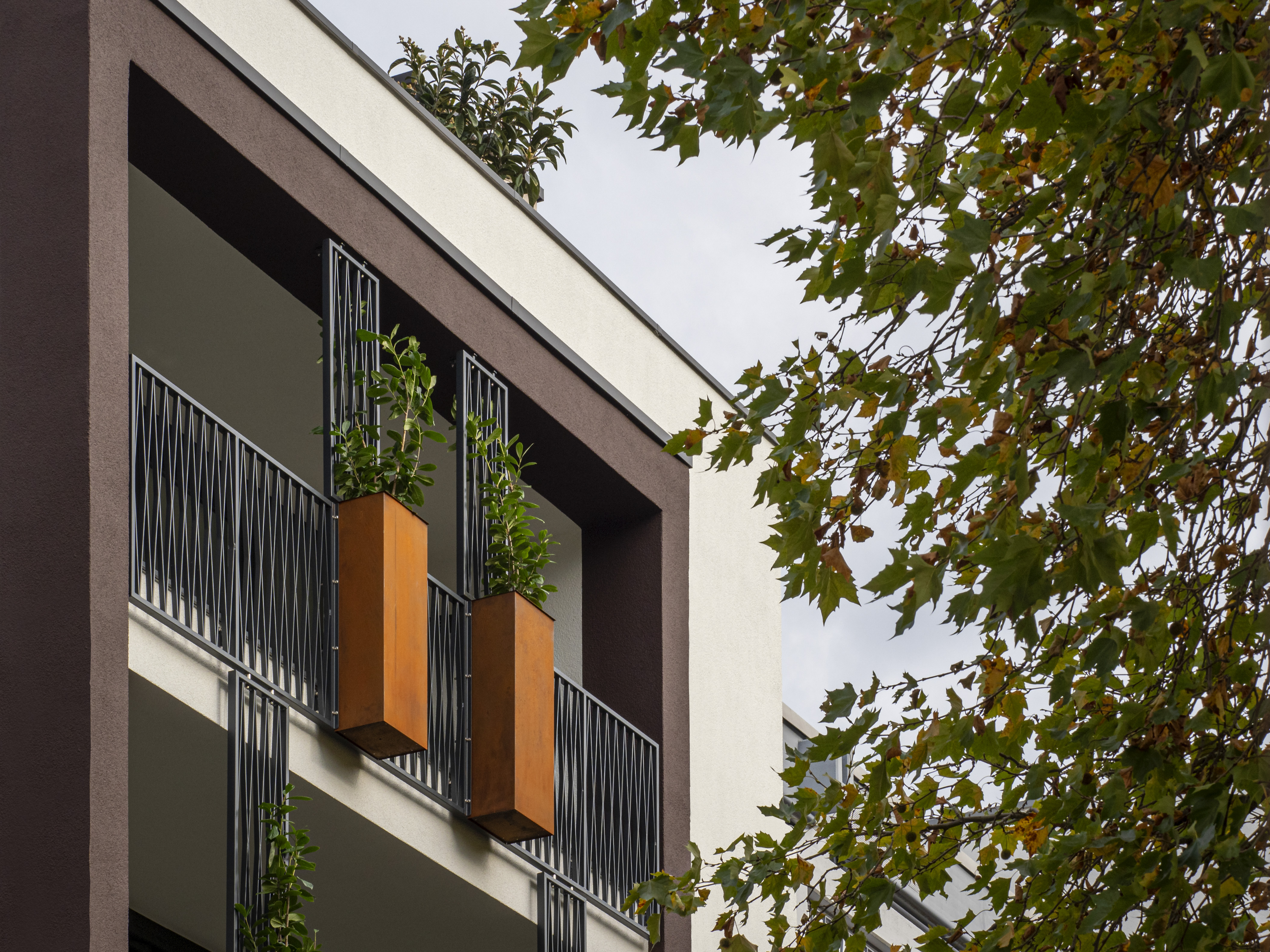 Eine Loggia mit Pflanzenkübeln aus Cortenstahl sowie Rankhilfen und Absturzsicherungen aus Gusseisen - Neubau eines Mehrfamilienhauses in Siegburg.