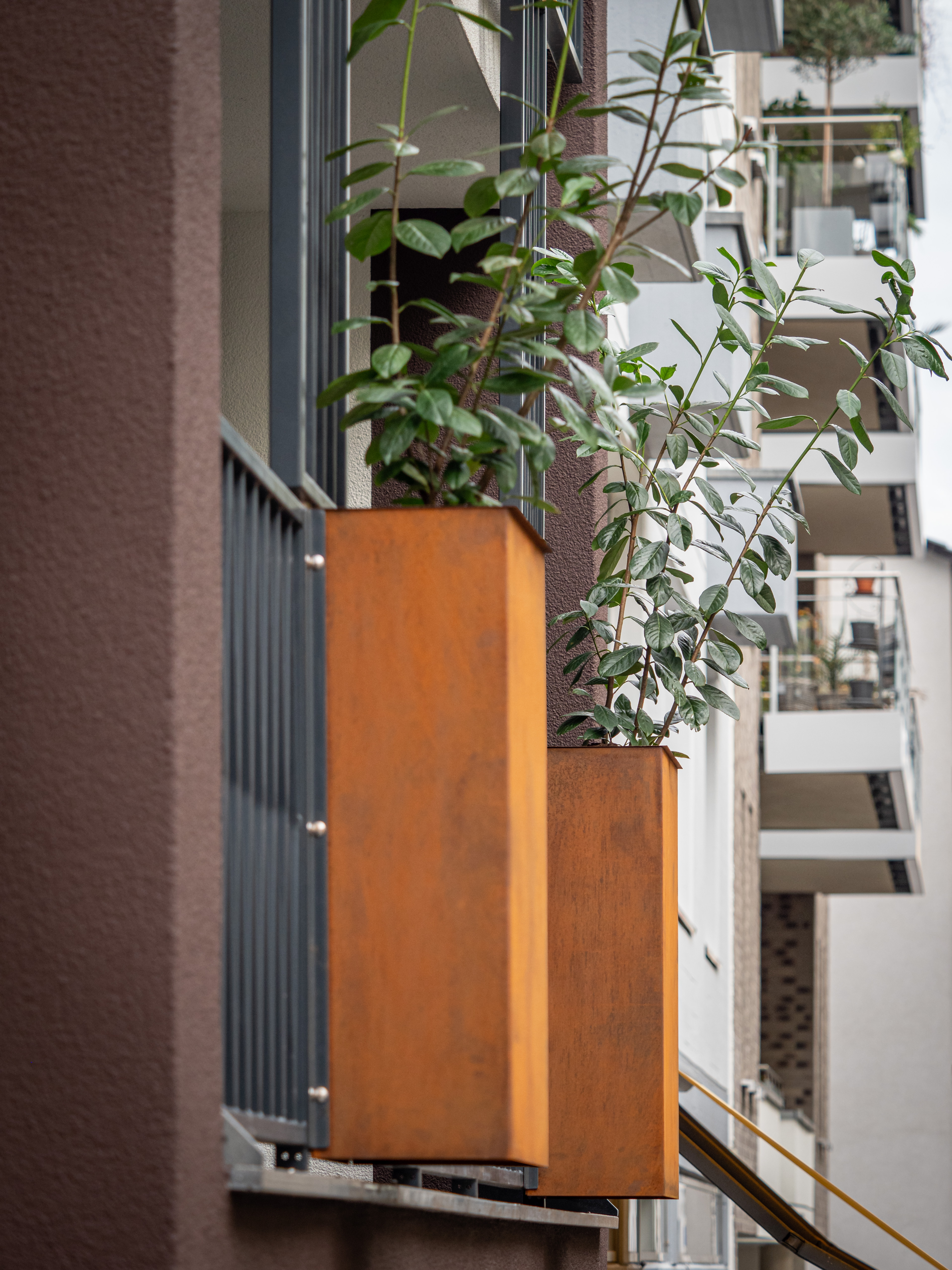 Die fest installierten Pflanzenkübel aus Cortenstahl - Neubau eines Mehrfamilienhauses in Siegburg.