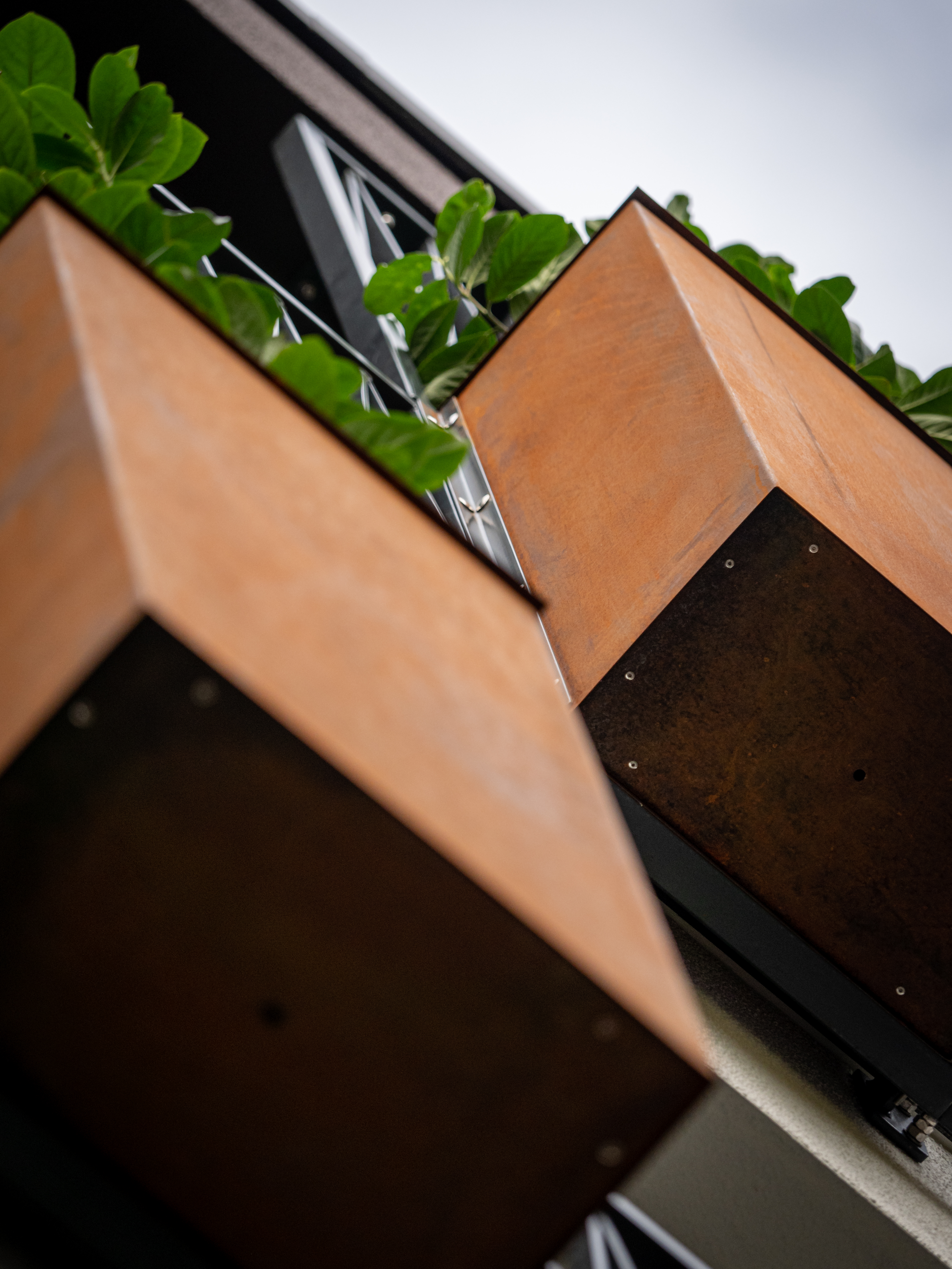 Die Pflanzenkübel aus Cortenstahl sowie Rankhilfen und Absturzsicherungen aus Gusseisen - Neubau eines Mehrfamilienhauses in Siegburg.