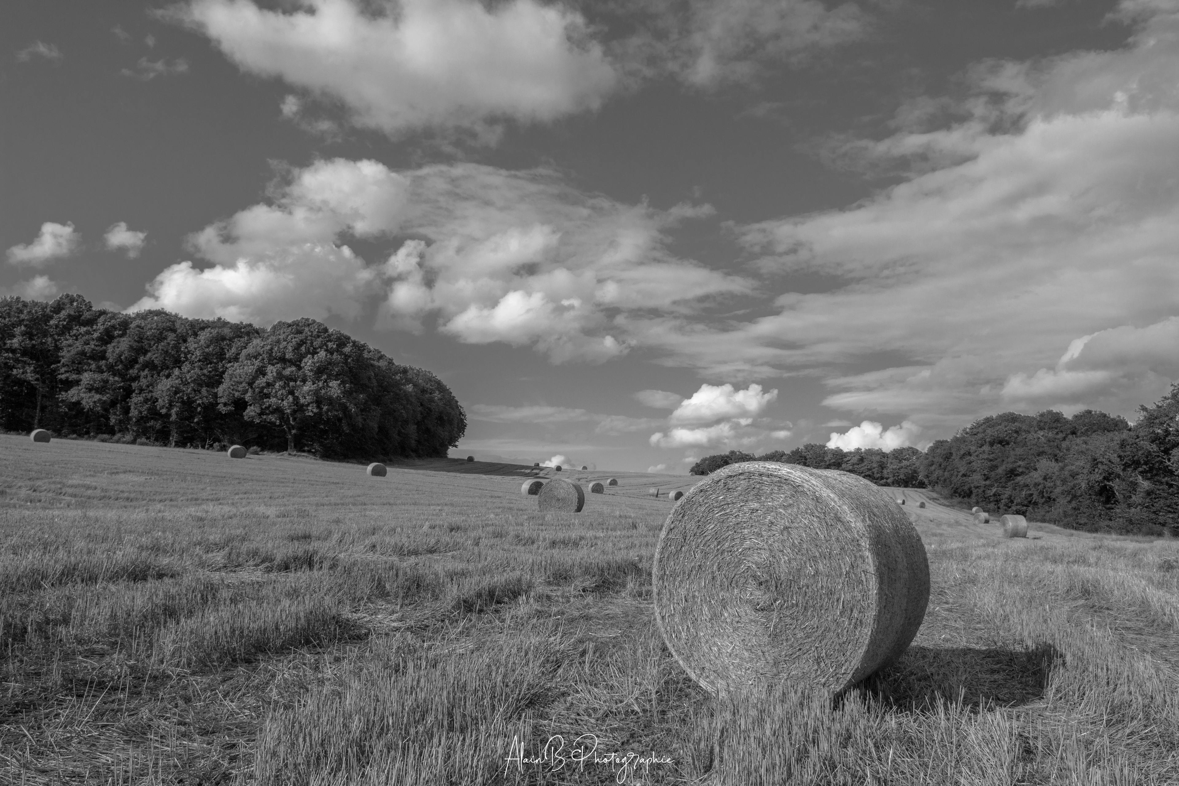 paille - Campagne de Bourgogne