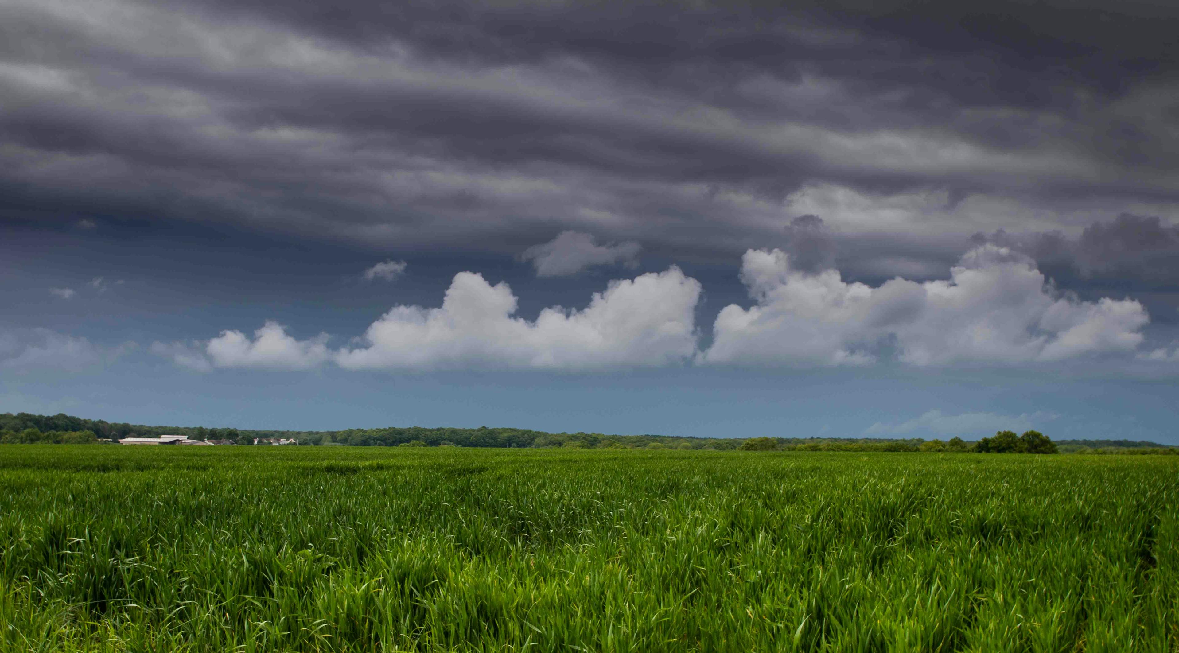 Pausage de Bourgogne avec un ciel menaçant