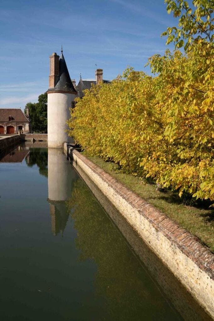 Paysage : Douves du château de Grand-champs
