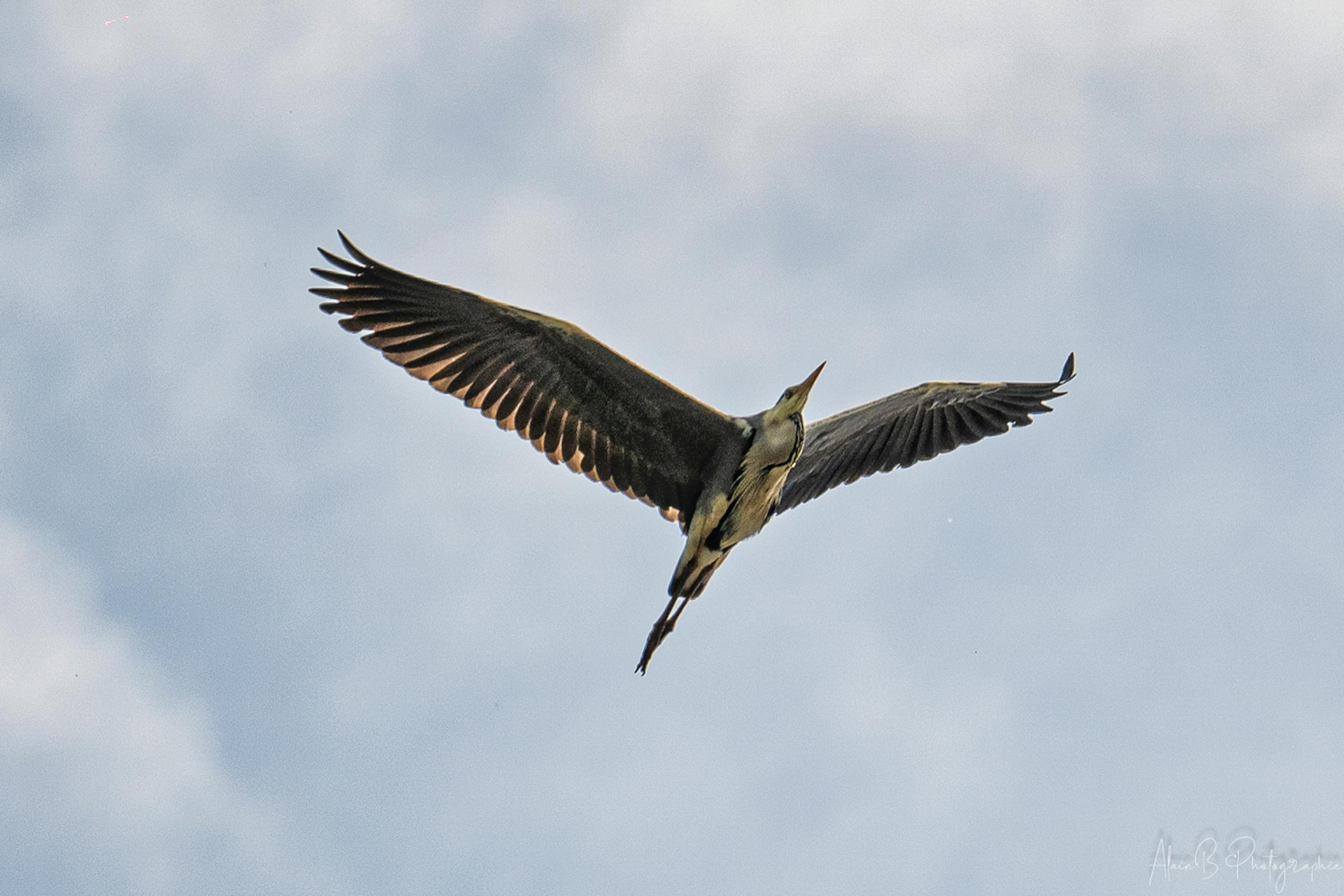 Milan noir au dessus du Bourdon