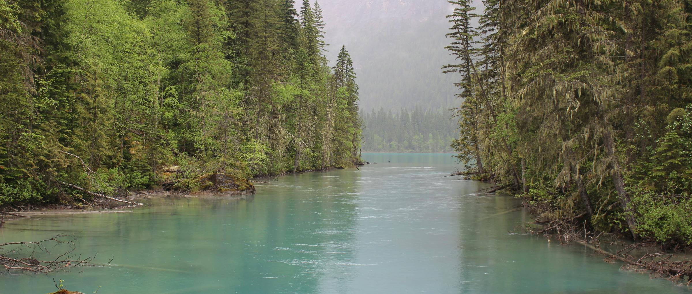 Credit: K. Bellefeuille