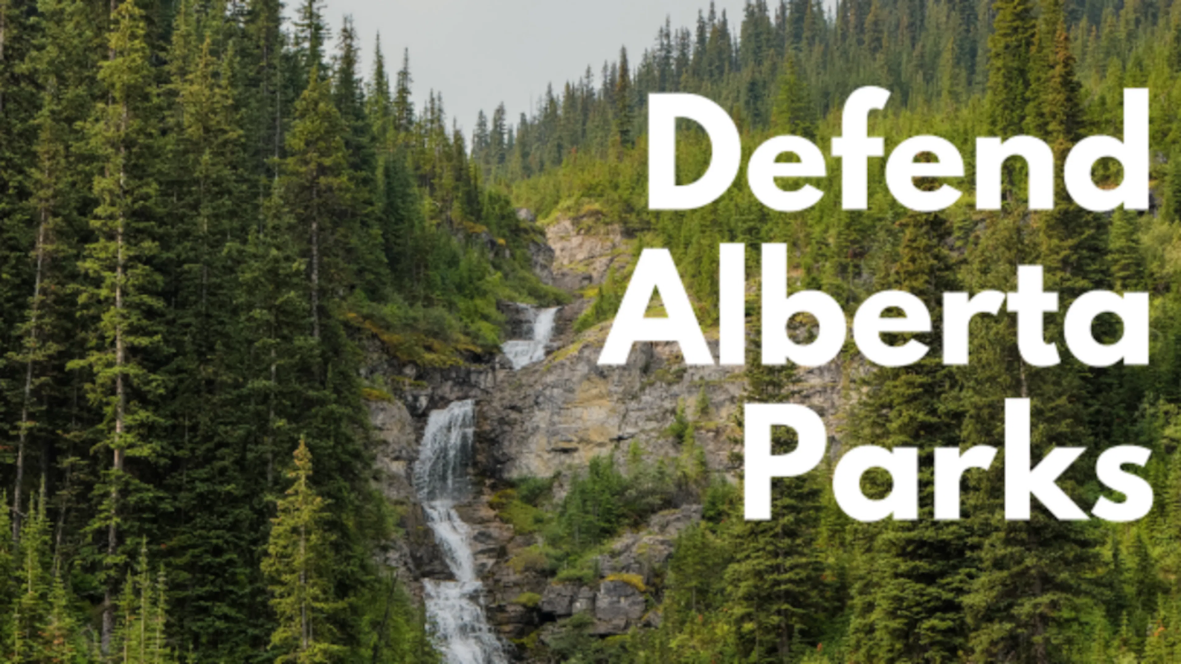 Defend Alberta Parks text overtop of image of a forest