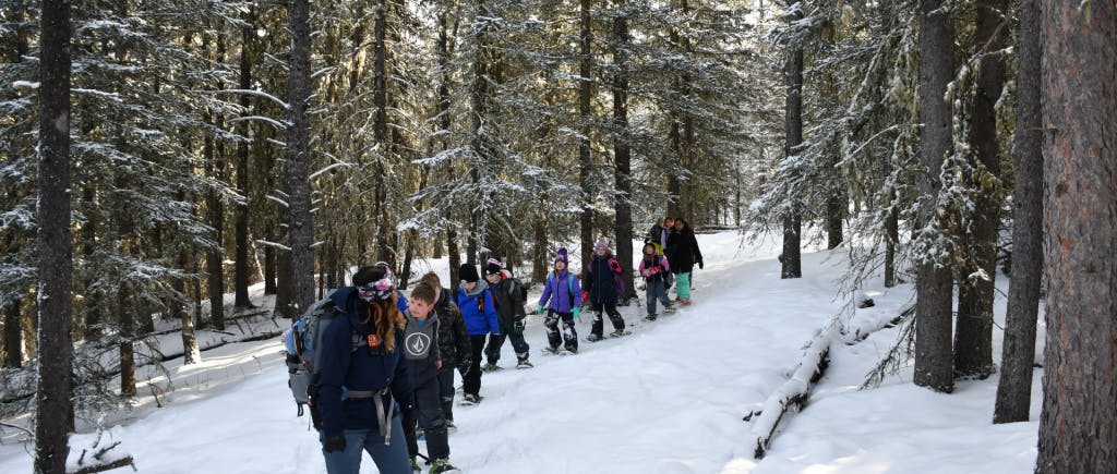 People walking through winter forest