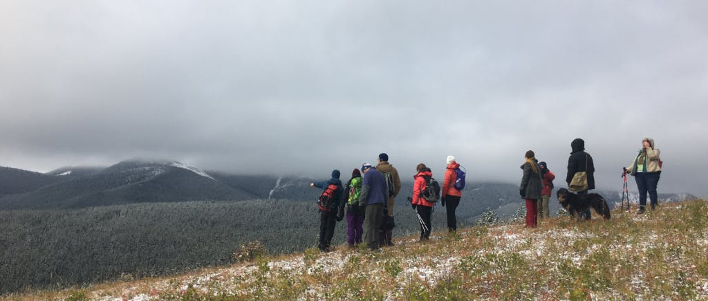 Group of hikers on a hillside