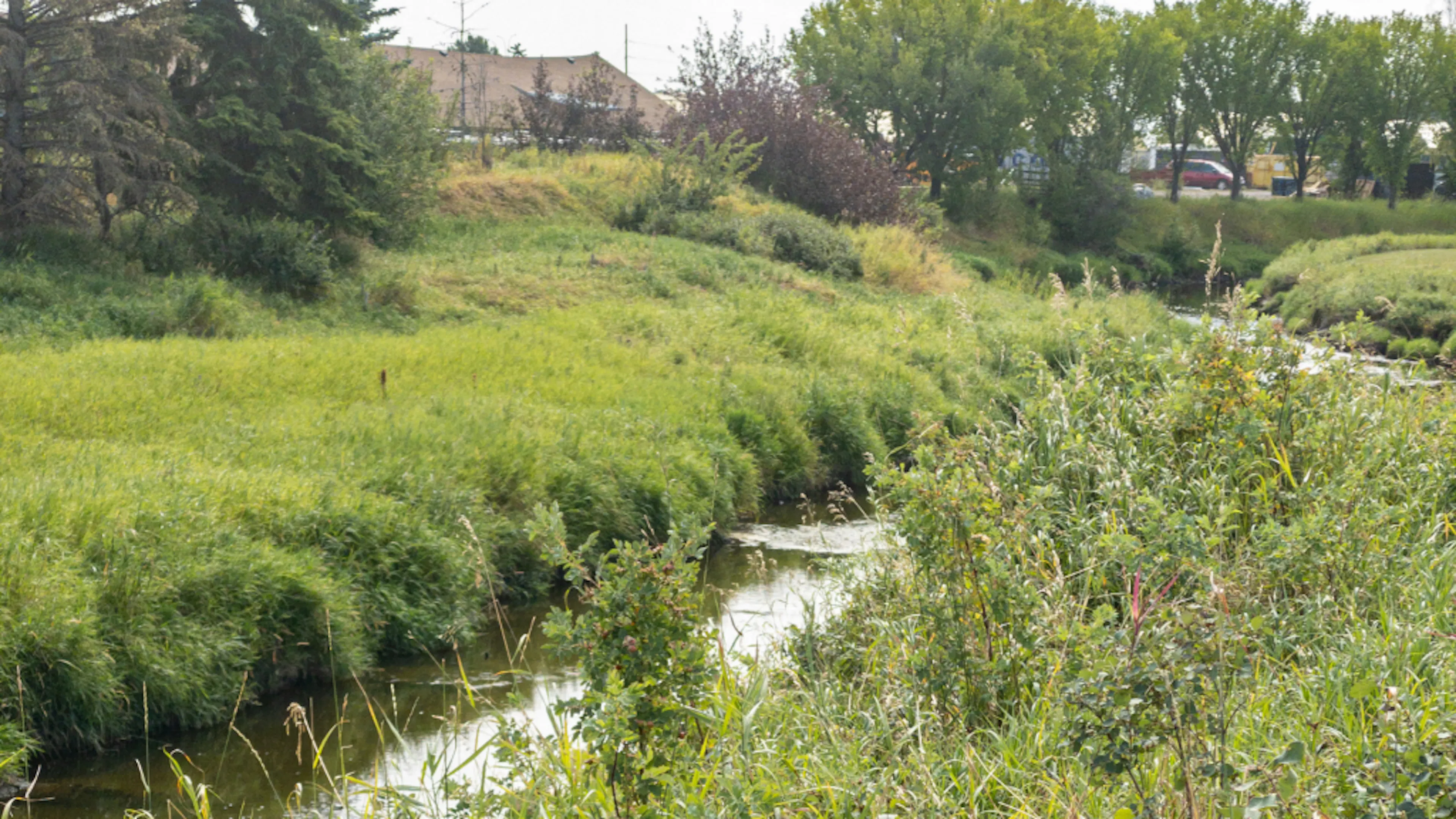 Nose Creek