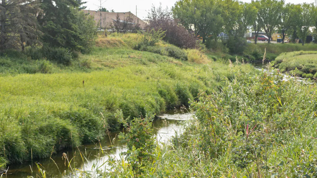 Nose Creek