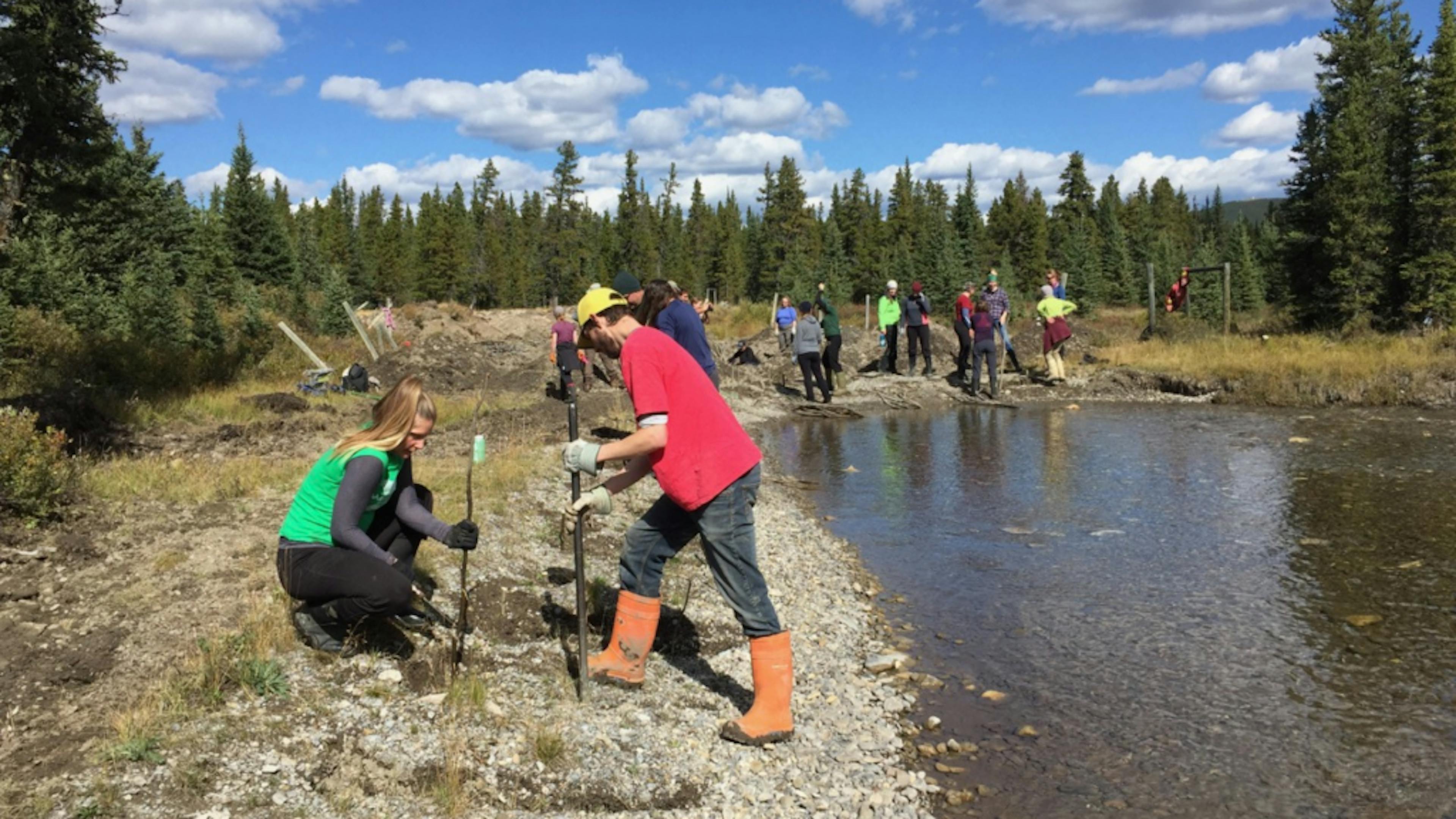 A group of volunteers clean up a riverside