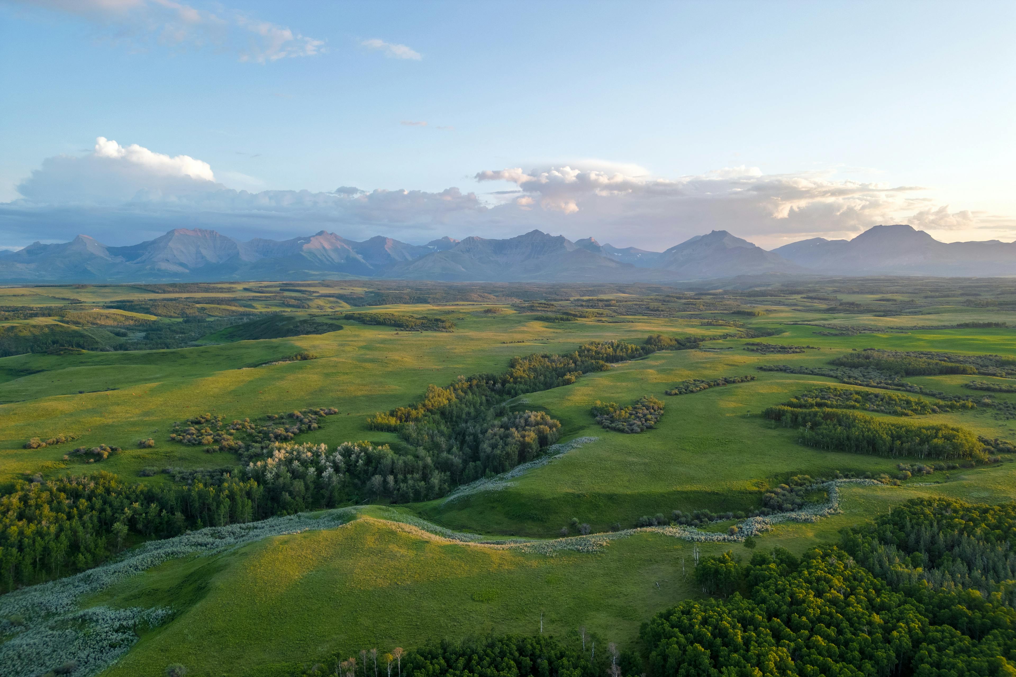 Aerial photo of Alberta landscape with rolling hills, river, and mountains in the distance. 