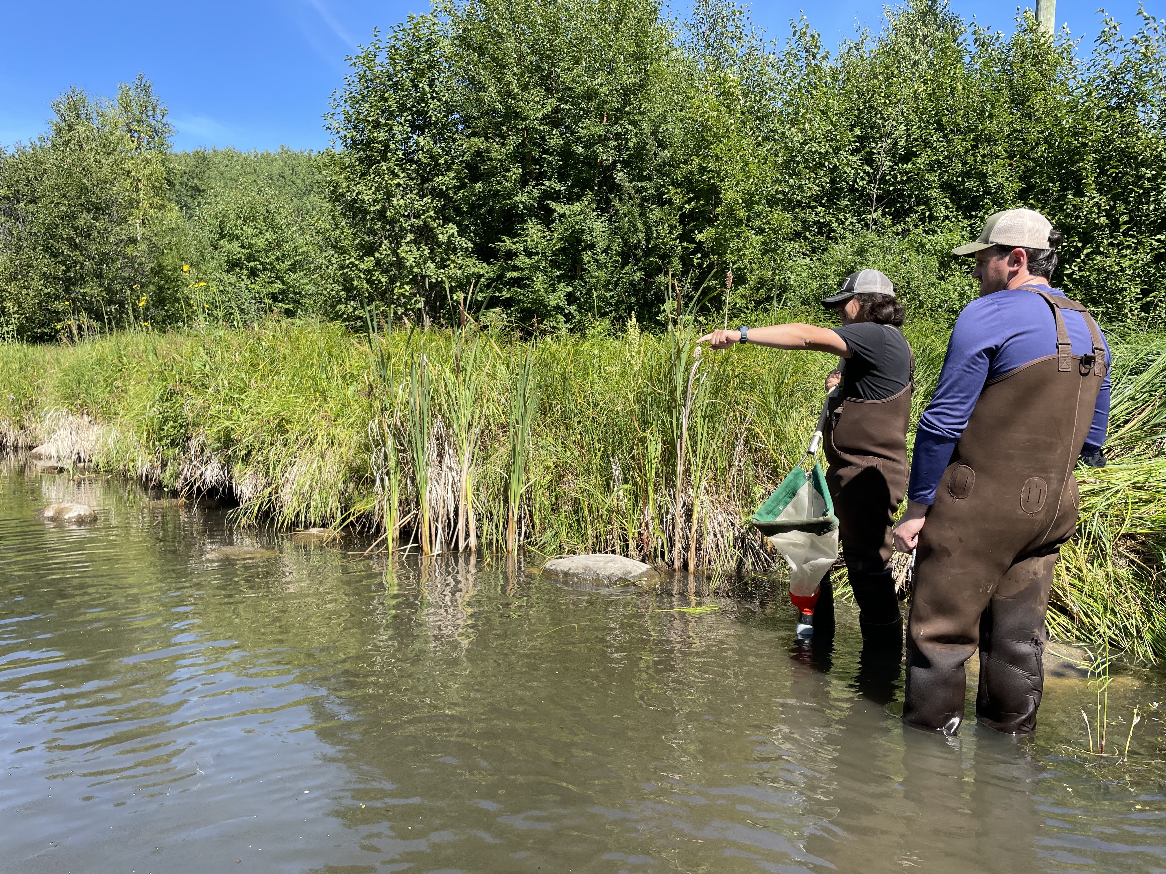 Whitefish Lake First Nation #128: Building capacity for environmental ...