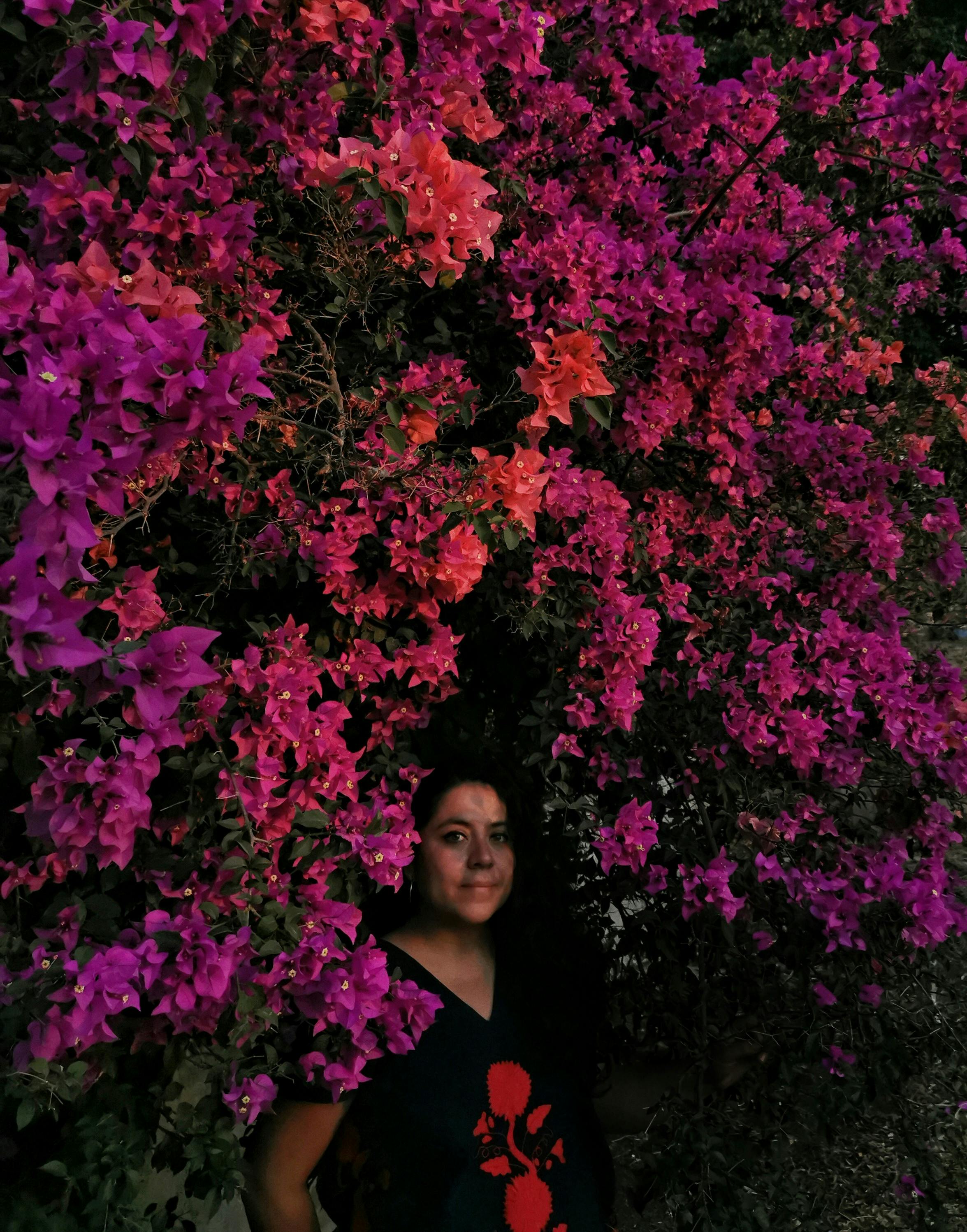 Imagen de Alejandra Leyva
