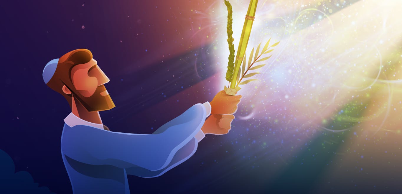 An illustration of a man with brown hair and bear wearing a light blue shirt and yarmulke. He is holding the arba minim -- etrog, lulav, hadass, and aravah -- up towards a beam of light.