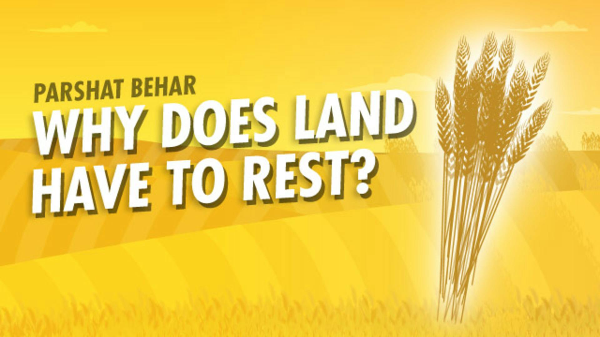 The Spiritual Meaning of the Sabbath and Jubilee Years Why Does Land