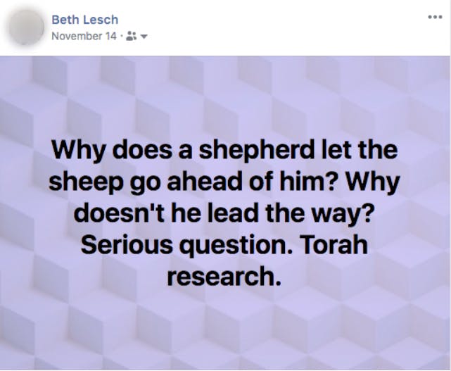 God is our shepherd we are lambs