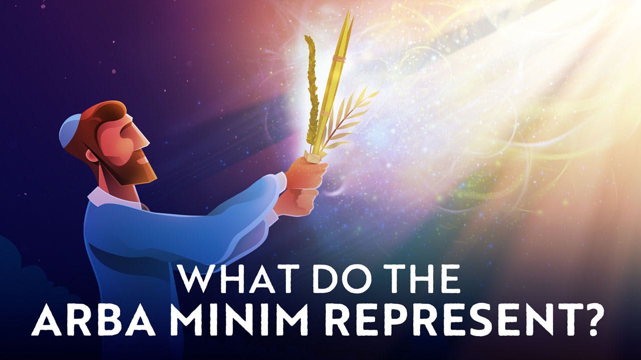 What Do the Arba Minim (Four Species) Represent?