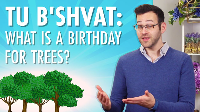 Tu B'Shvat: Celebrating The New Year For Trees | Aleph Beta