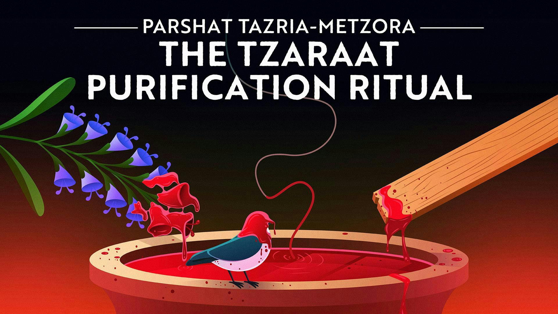 How To Read The Torah How To Read The Torah