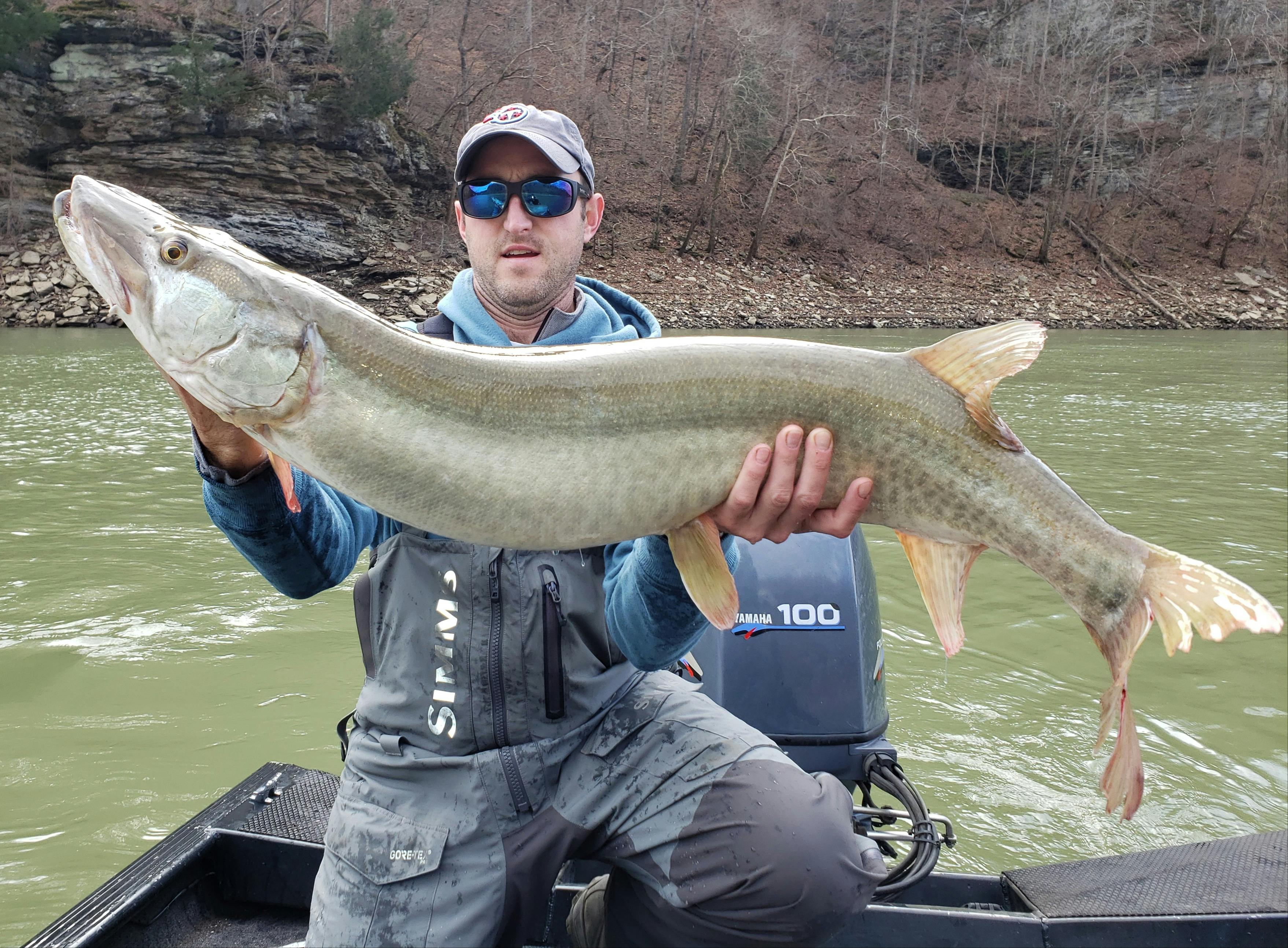 Small Creek Kayak Fishing! ( Tennessee Musky Fishing ) — Tactical