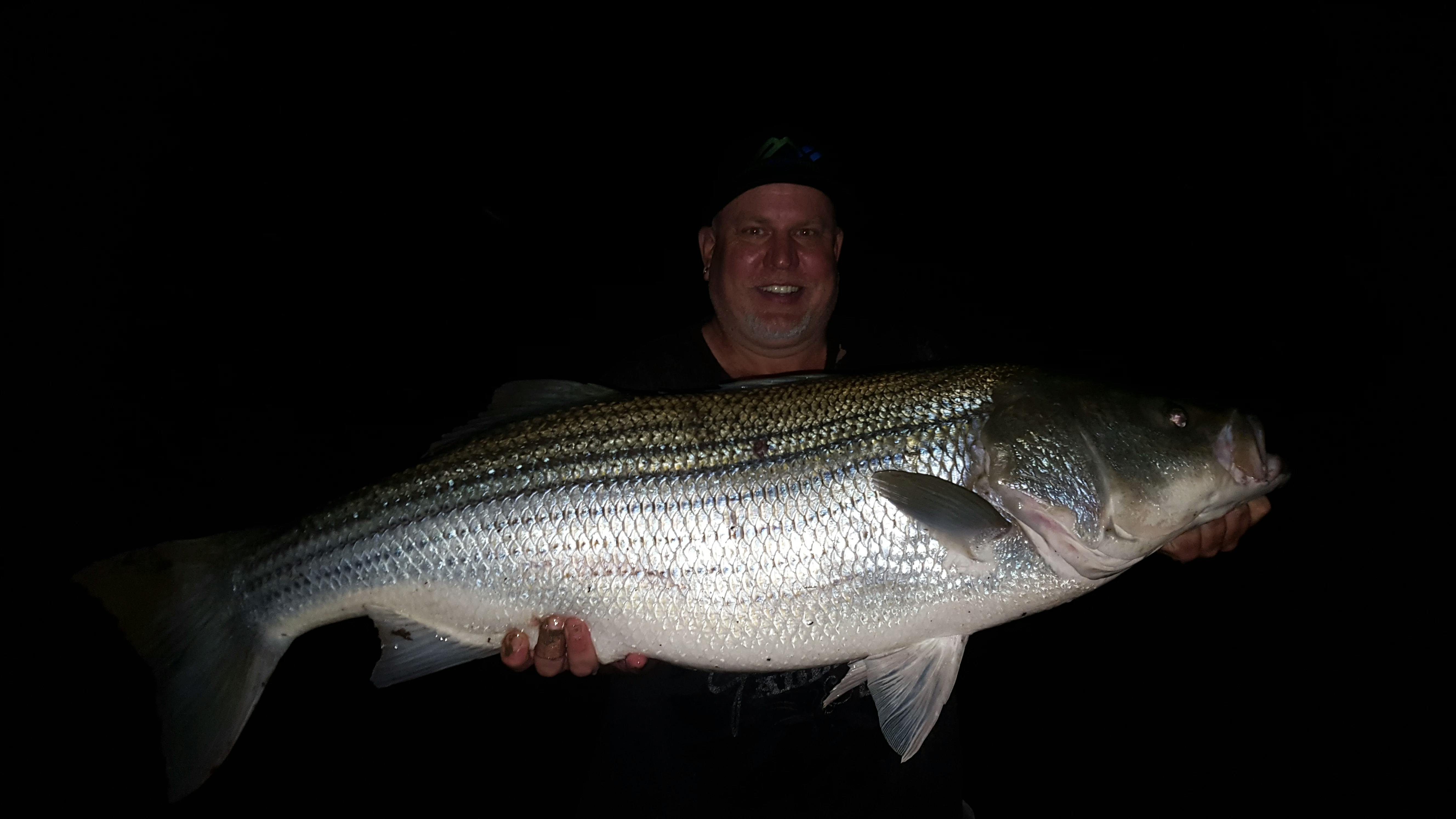 Tennessee Fishing License Cost - or349fd