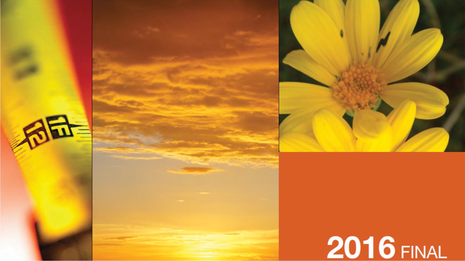 Measuring tape, Sunset skyline, Yellow Flower, 2016 Final