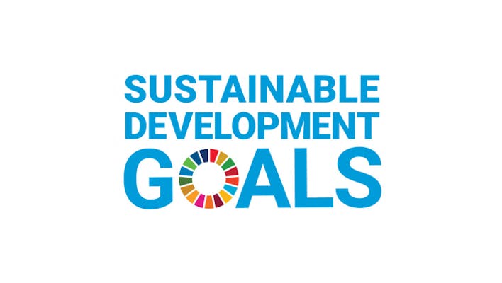 UN Sustainable Development Goals logo