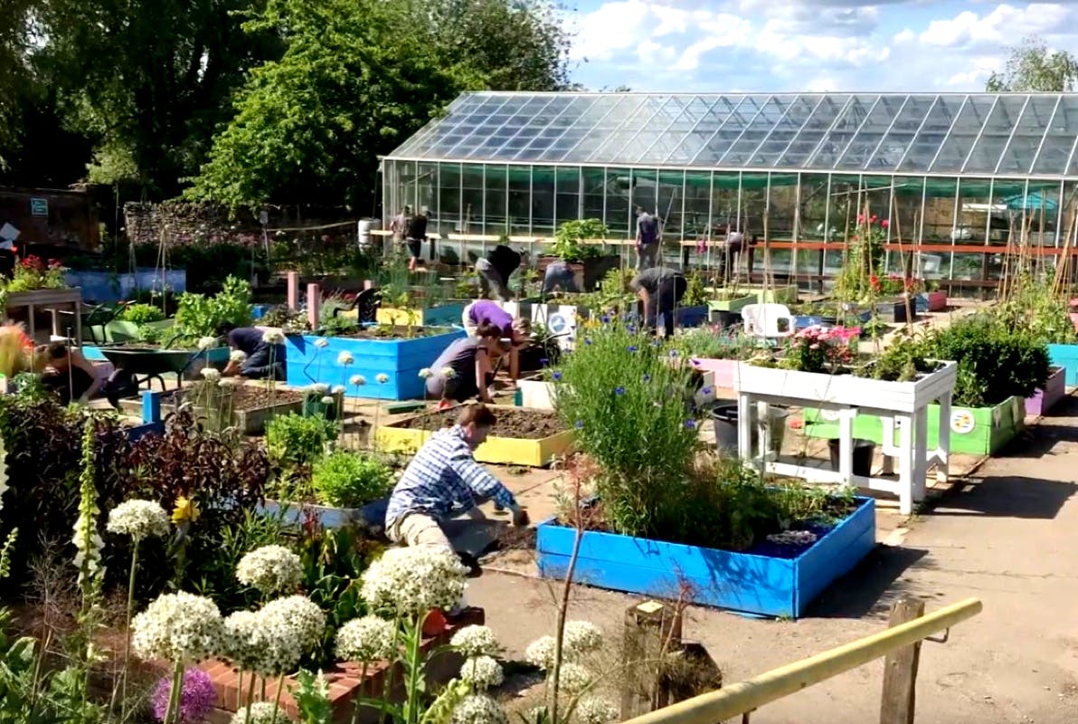 Alfa employees supporting in a garden