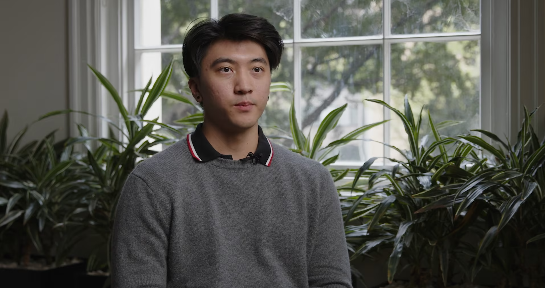 alfa Junior software engineer, brendon