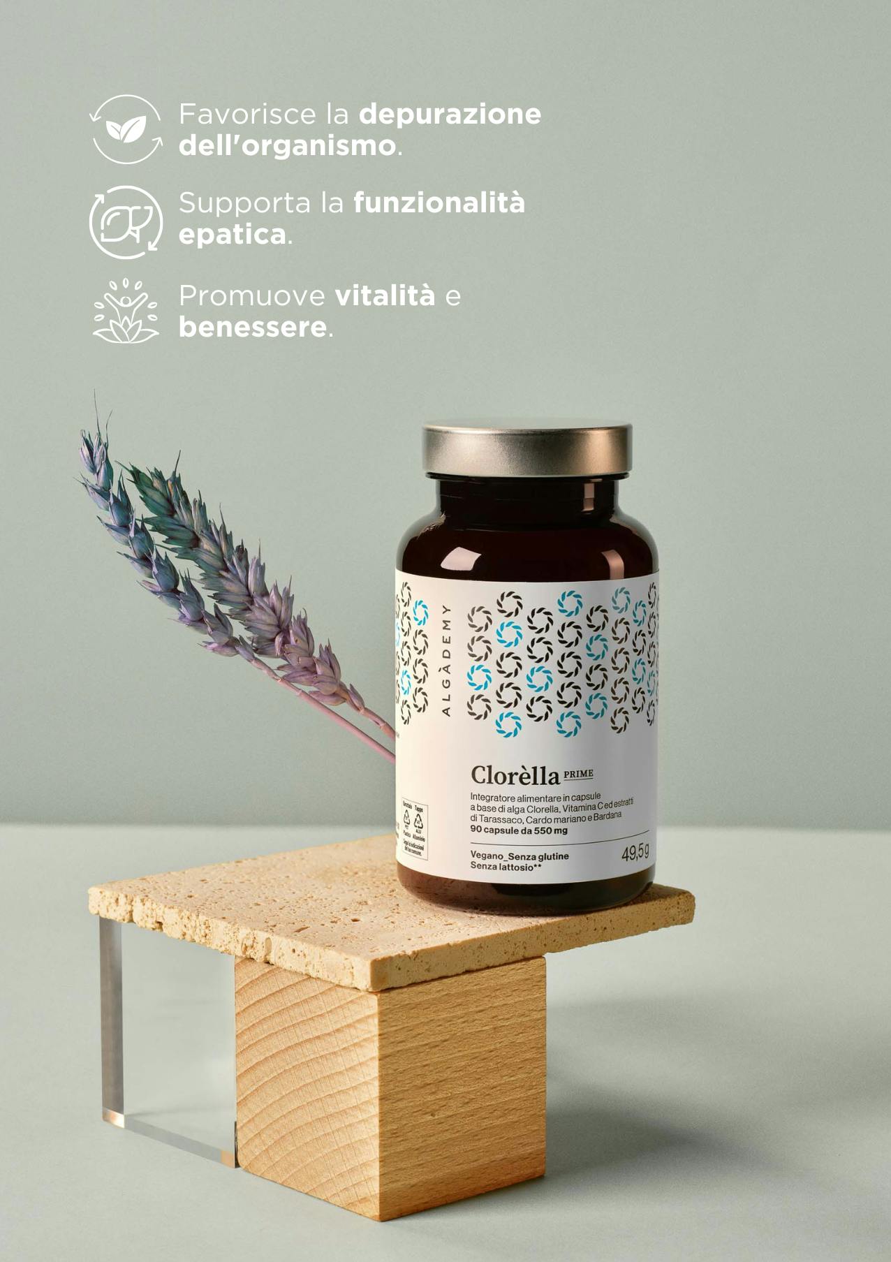 immagine di chlorella con indicaizoni
