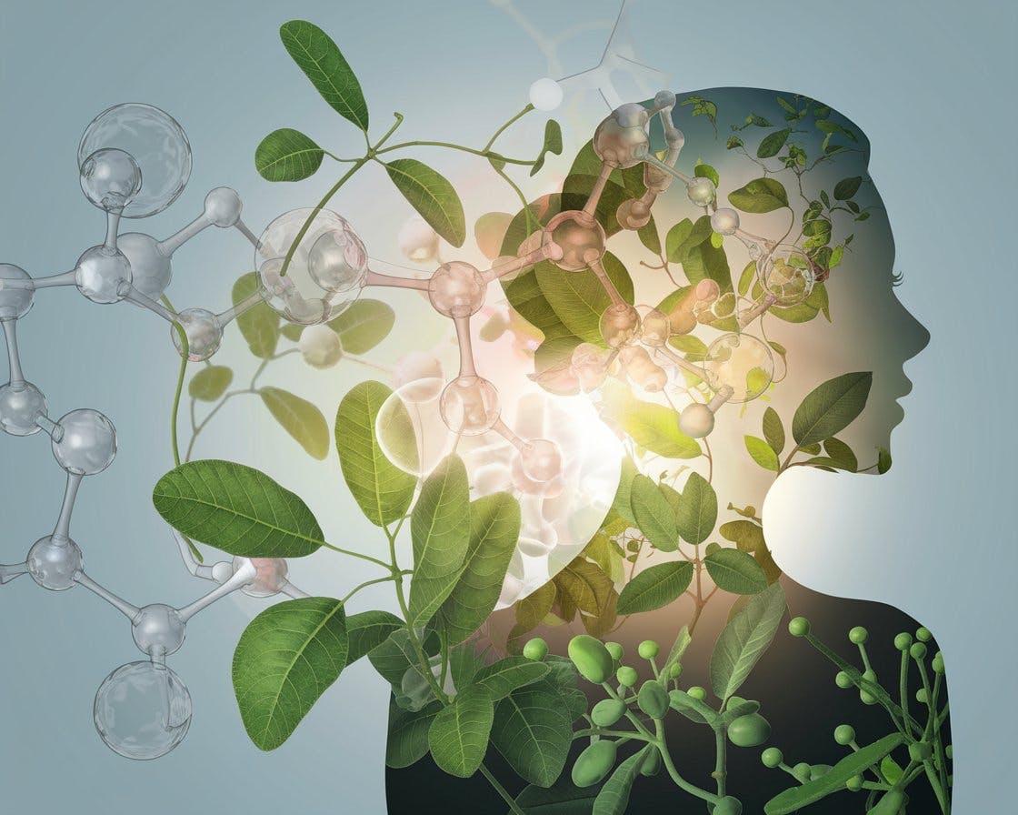 MenoBelle®: il supporto naturale per affrontare la menopausa con equilibrio e benessere
