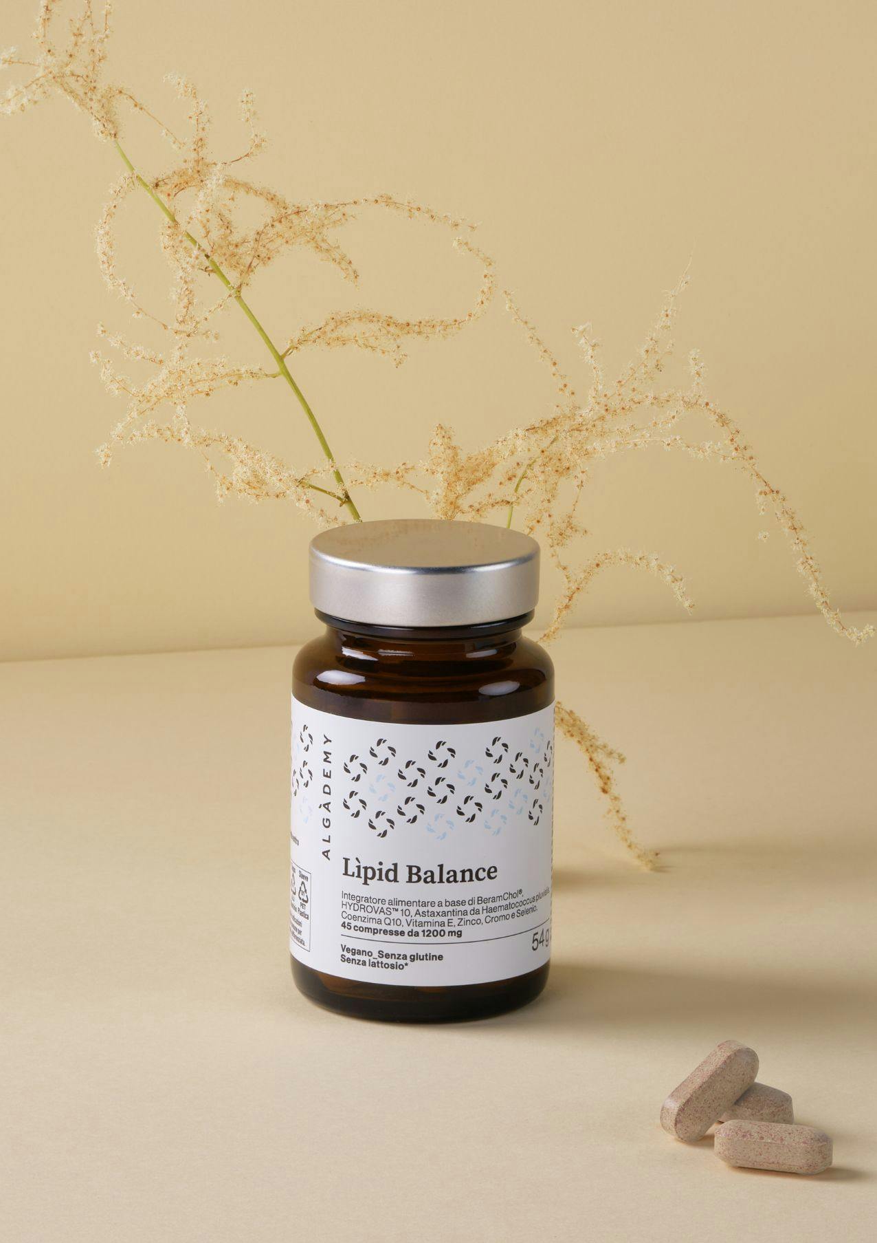 immagine lipid balance