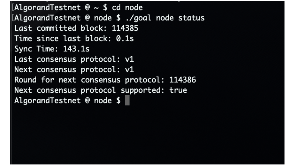 Algorand TestNet - CLI