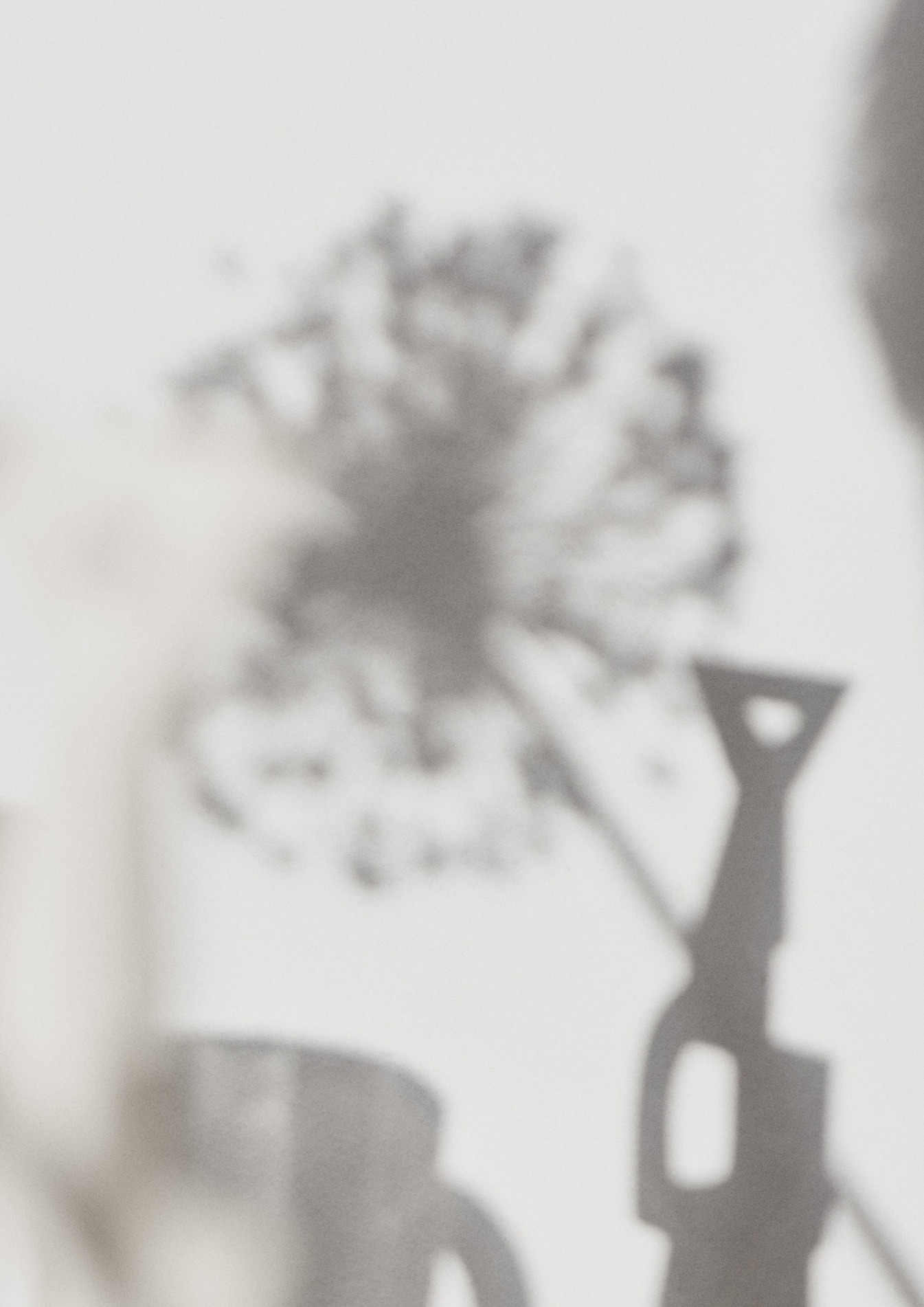 Alice Kentridge Image