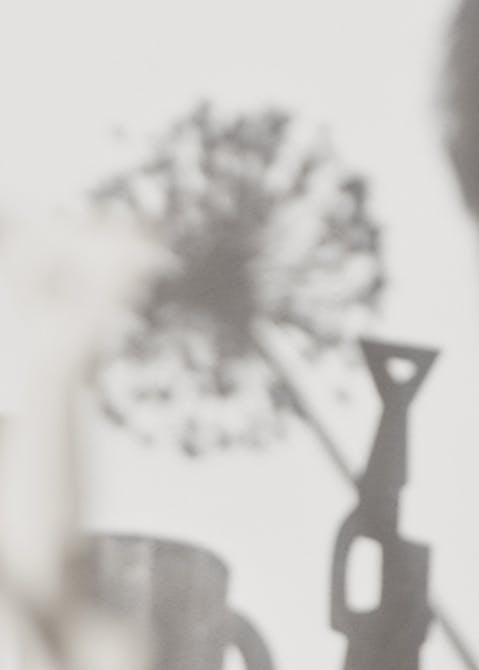 Alice Kentridge Image