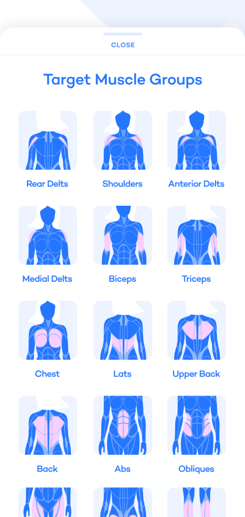 Light Mode light mode