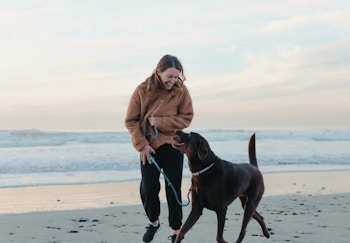 Woman playing with dog on the beach