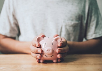 A person holding a piggy bank filled with fair price guarantee savings