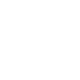 Cake Equity