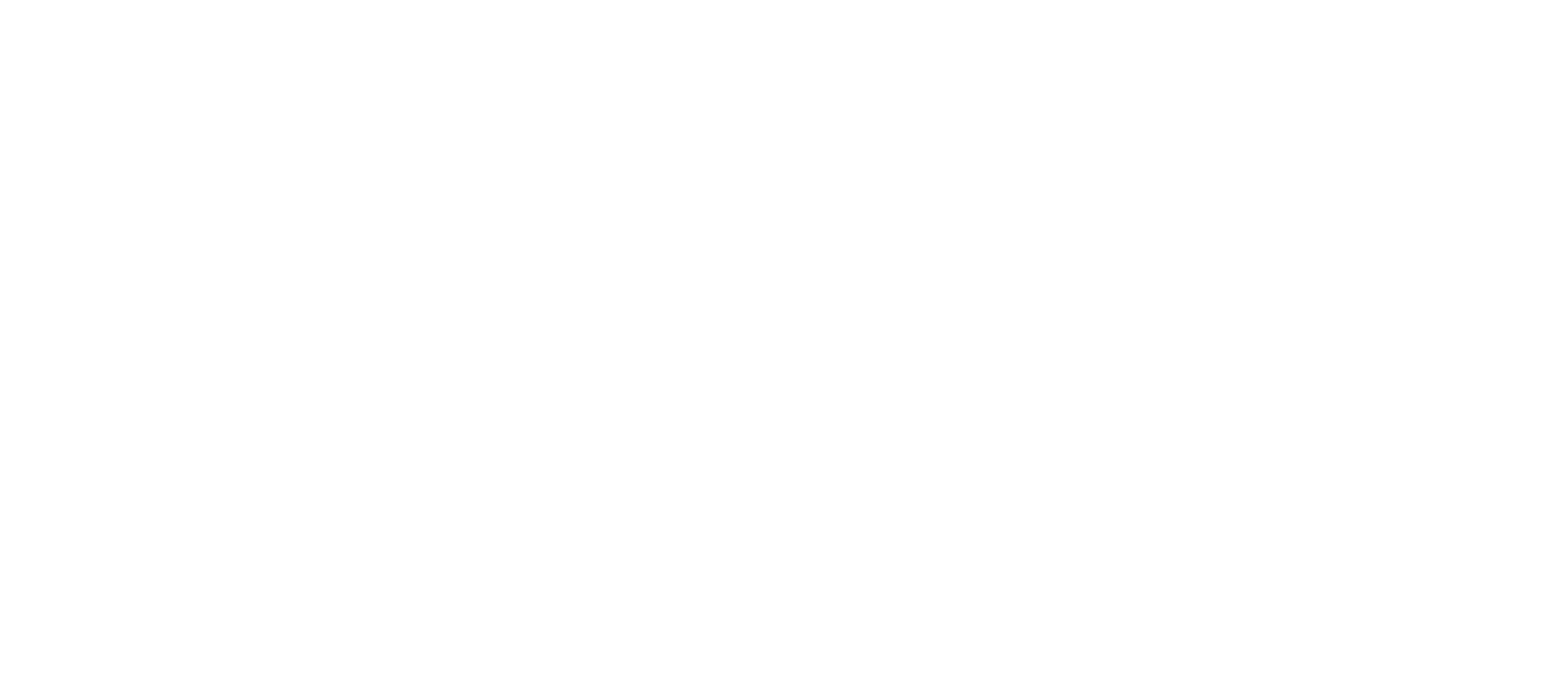 FlexJobs Logo White