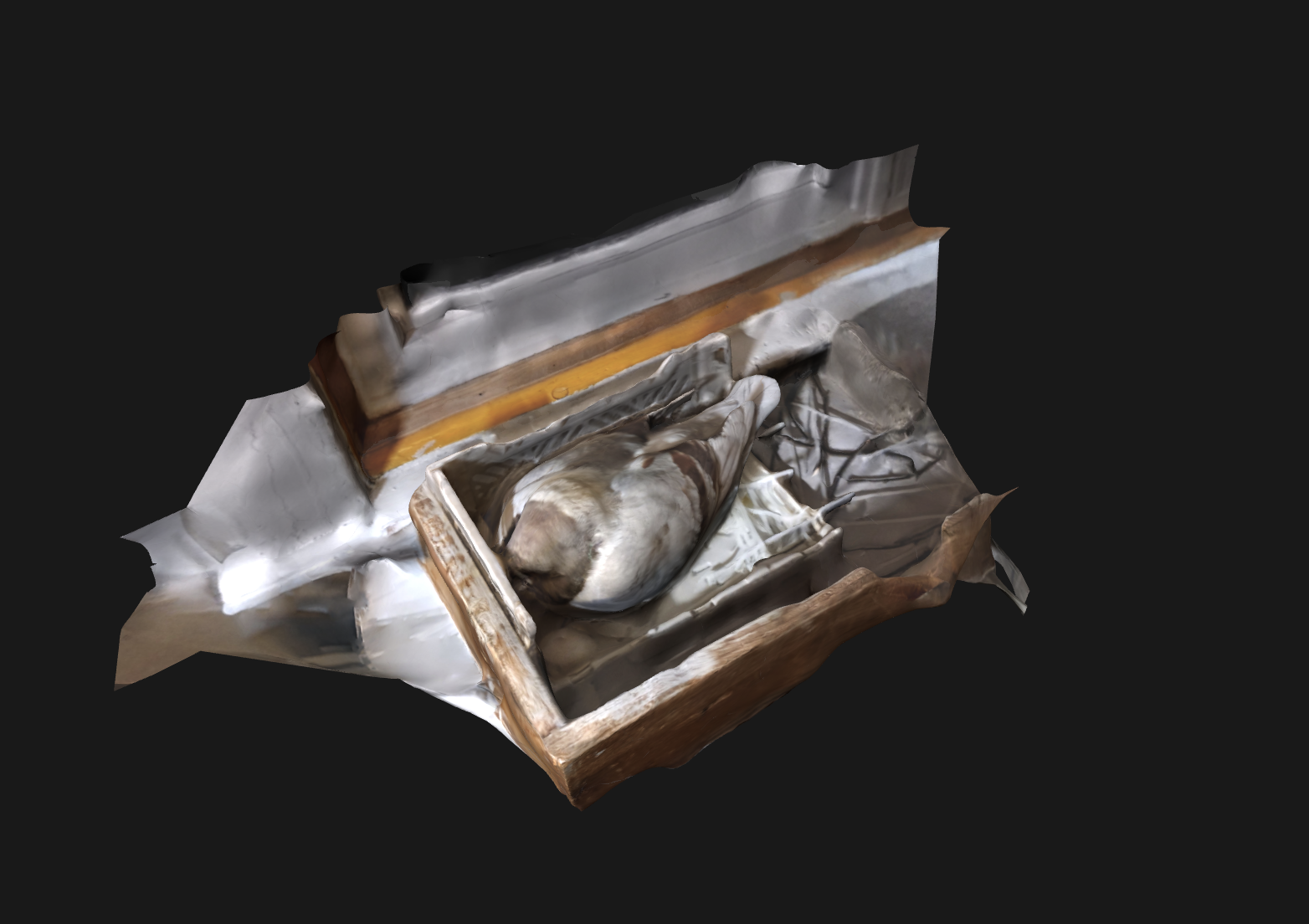 A 3d scan of my pigeon Masha