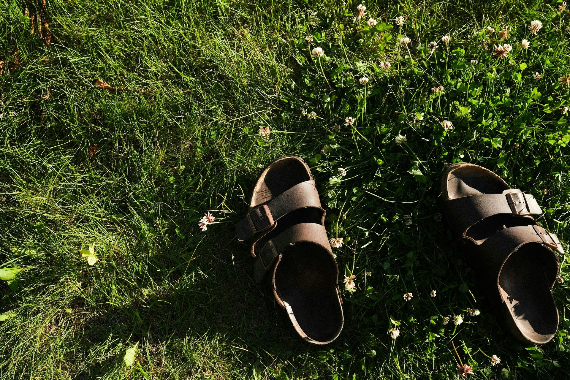 a pair of irkenstocks in long grass