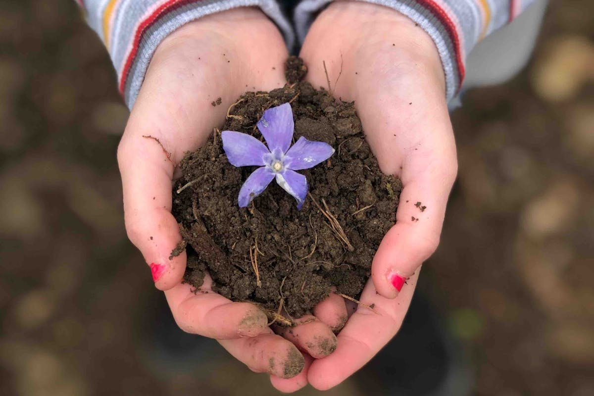 earth soil flower climate