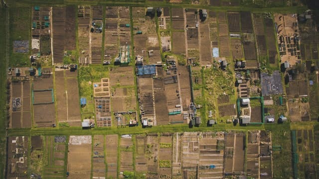 allotments from over head