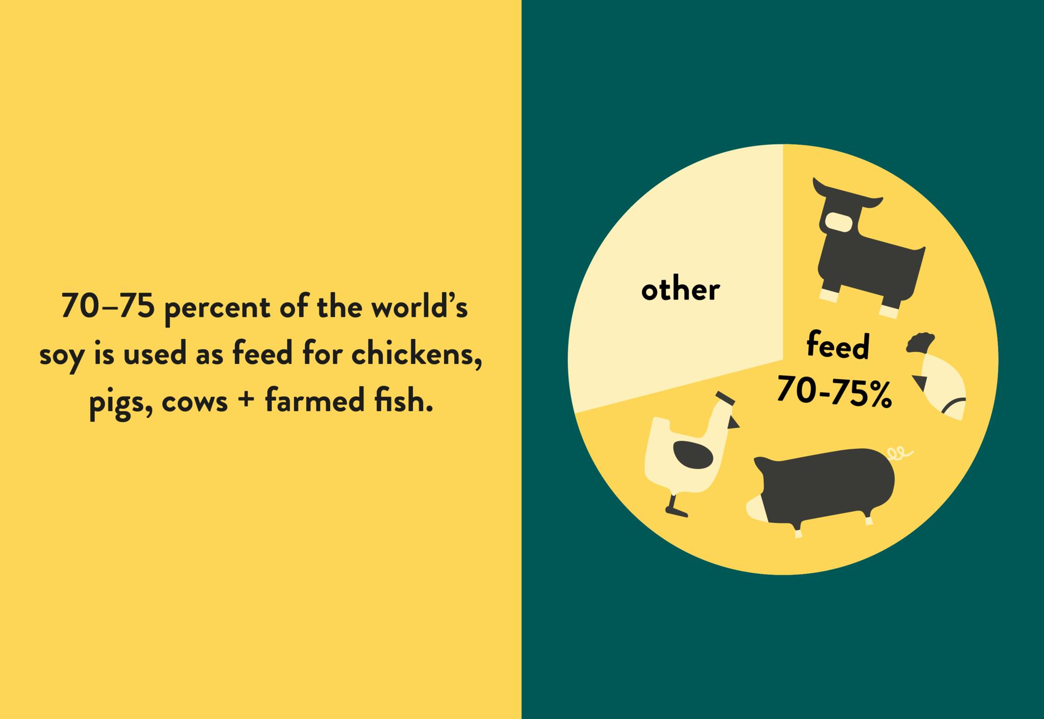 infographic showing % soy used to feed livestock 