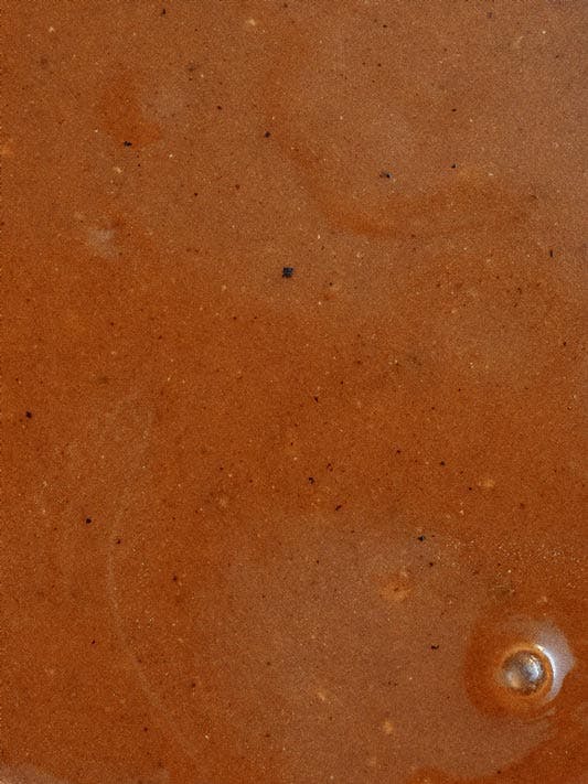 gravy-close-up