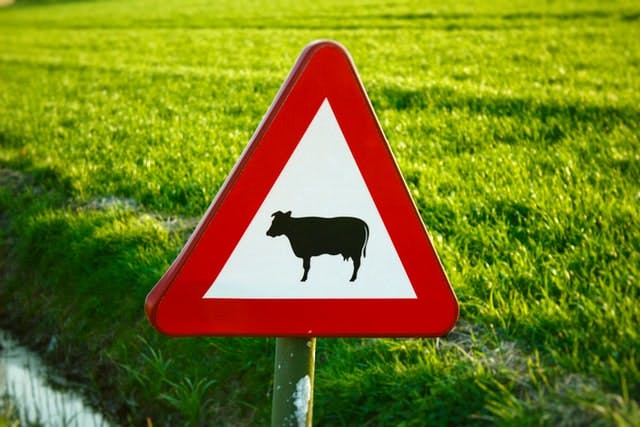 sign with cow on