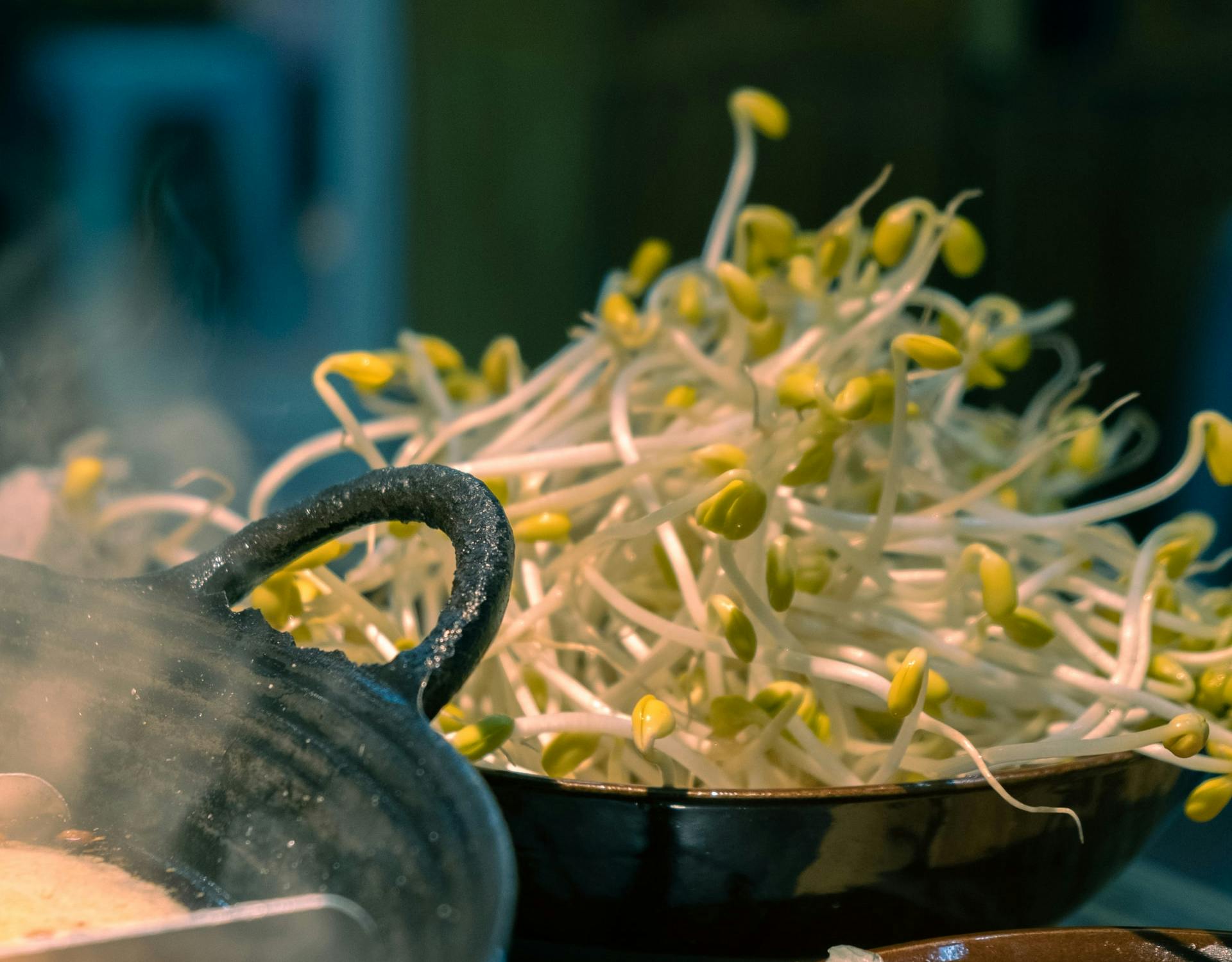 bean sprouts in a kitchen