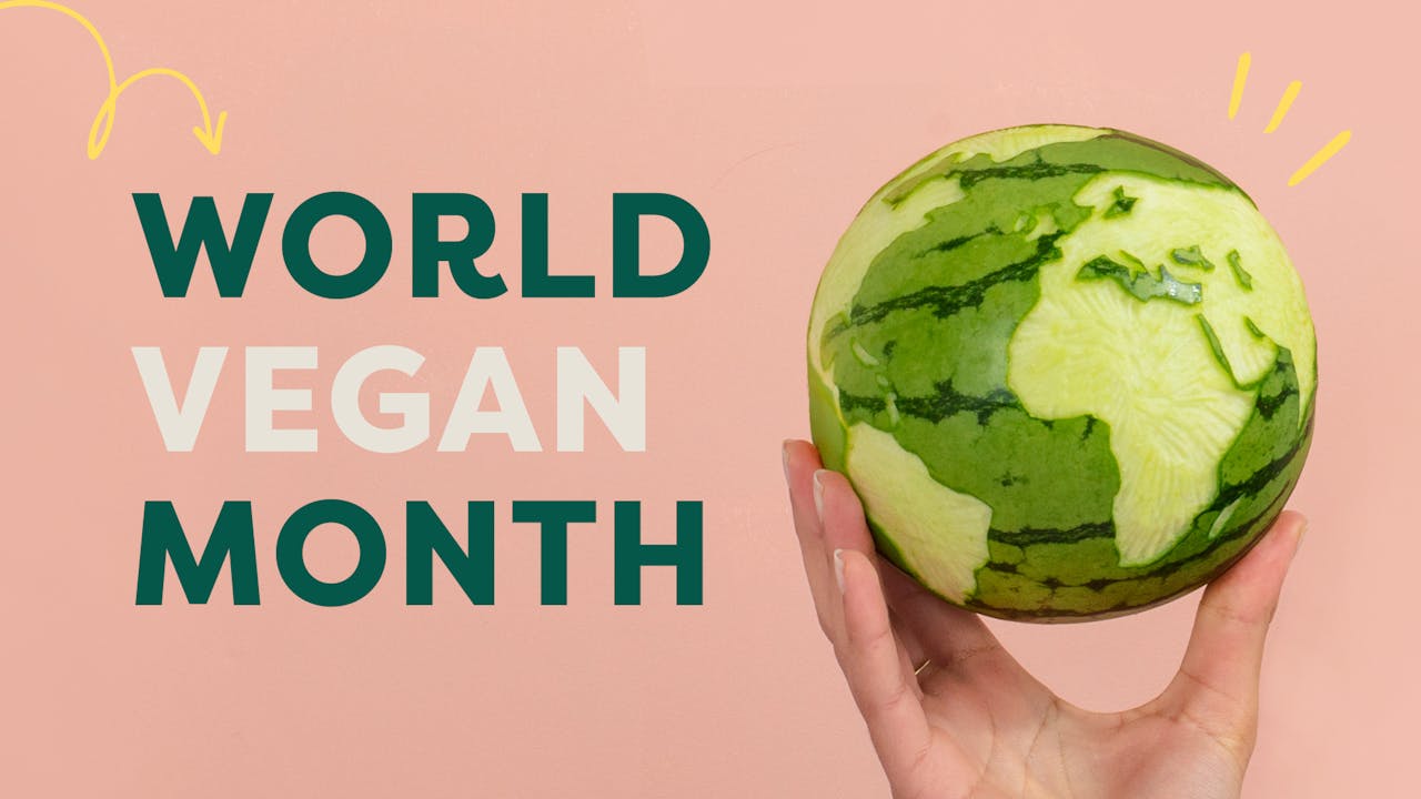 Why going vegan is better for the planet: World Vegan Month - Animal Aid